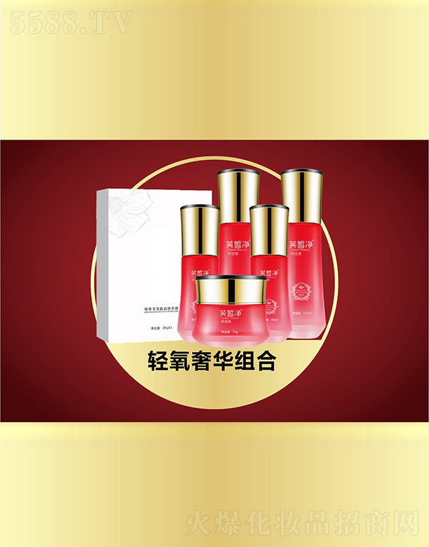 �V���f�Z���H����Ƽ����޹�˾��ܽ���p�����A�M��