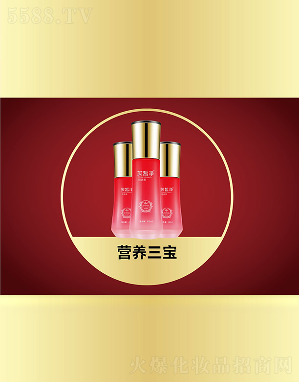 �V���f�Z���H����Ƽ����޹�˾��ܽ���I�B(y��ng)����