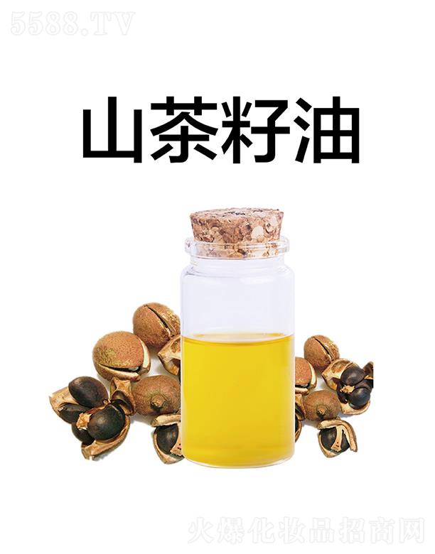 ������������Ƽ����޹�˾������ɽ������