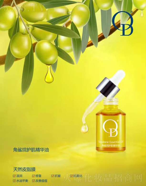 �麣ؐ������Ƽ����޹�˾��OD�������o�w���A��