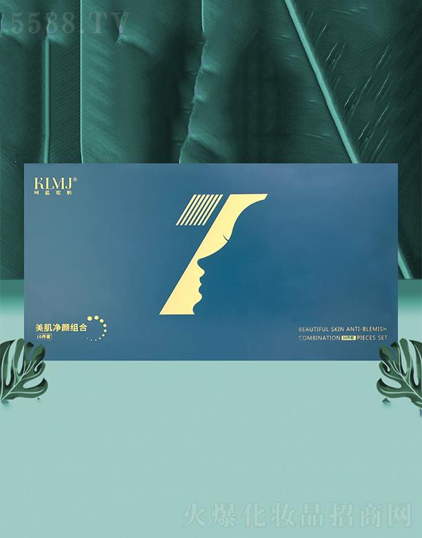 �ؑc���{�����������F���޹�˾���ؑc���{ ���{�ۼ�������M��