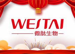 金龍送福，開門大吉！廣州微肽給您拜年了！