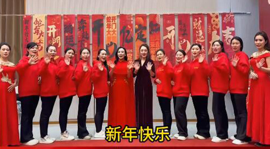 蛇年好運(yùn)至，幸福滿人間！飛斯達(dá)祝您百事從歡，一路向陽(yáng)！