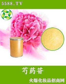 ������ˎ��