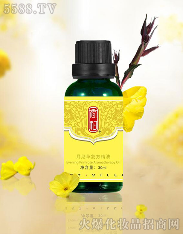 �����Ҋ(ji��n)�ݏ�(f��)������