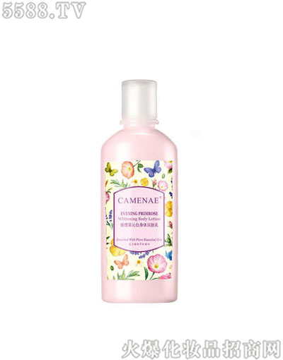 ���Ę���Ѳ��߰����w���w��