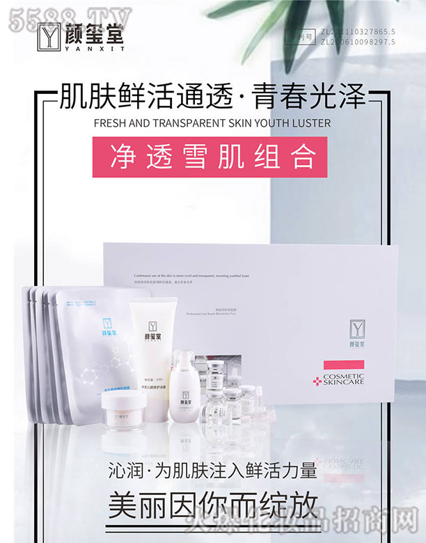 t�Ã�͸ѩ���M��