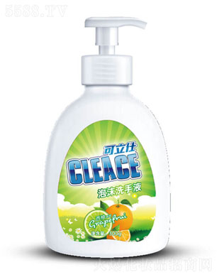�����ˣ�CLEACE)��ĭϴ��Һ�������300g