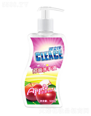 �����ˣ�CLEACE)ϴ��Һ�O�����500g