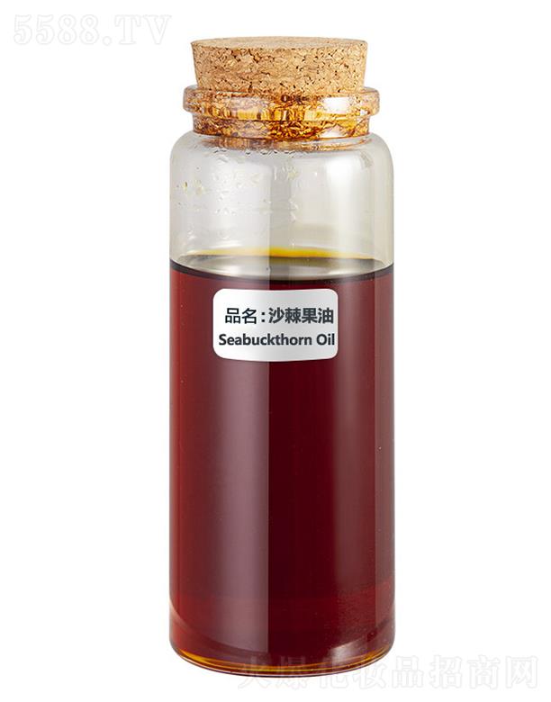 ɭ��ɳ������