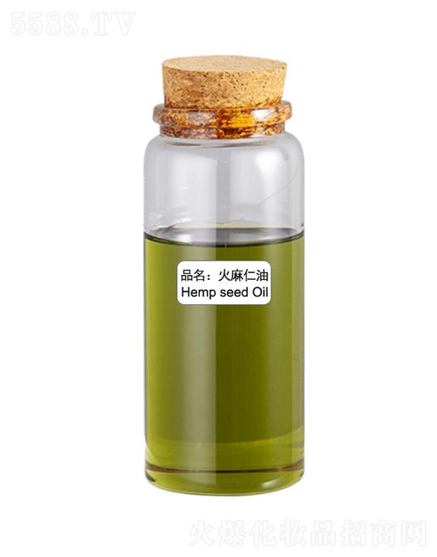 ɭ����������