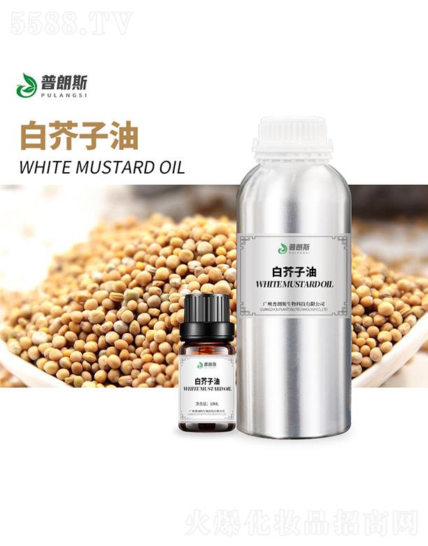 ����˹�׽�����