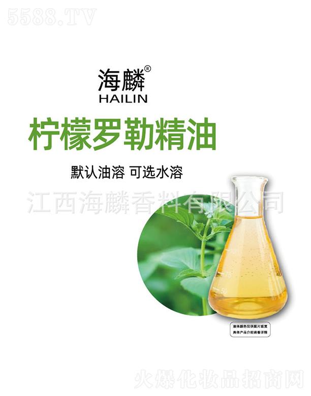 ���뙎���_�վ���