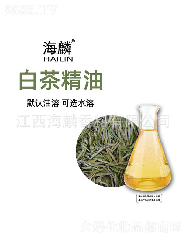 ����ײ辫��