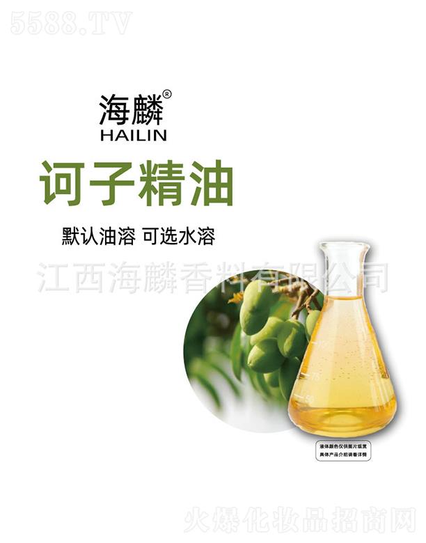 �����X�Ӿ���