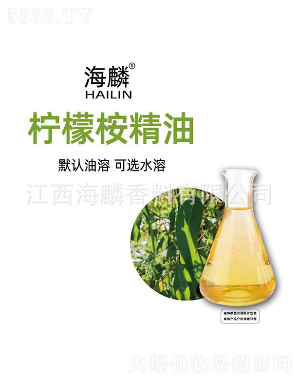 ���뙎������