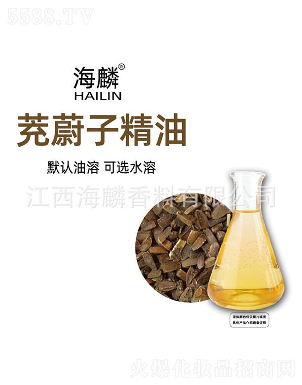 ������ε�Ӿ���