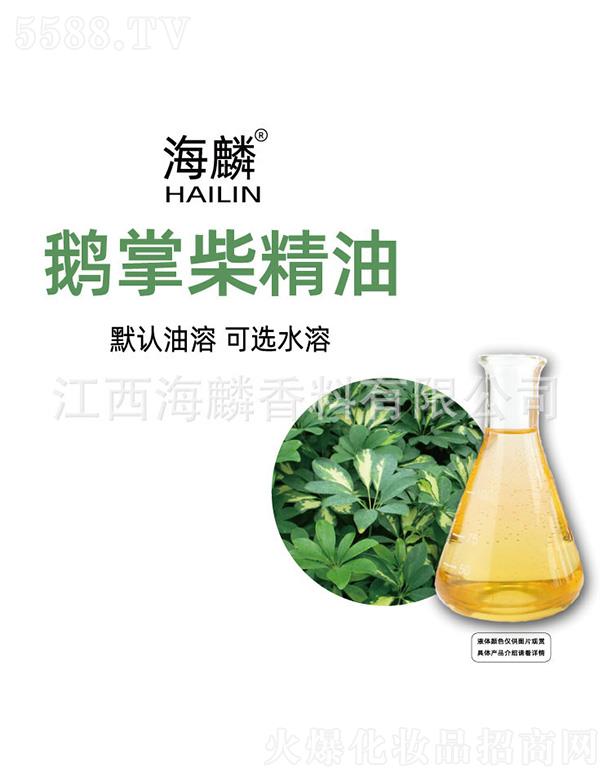 �����Z�Ʋ���