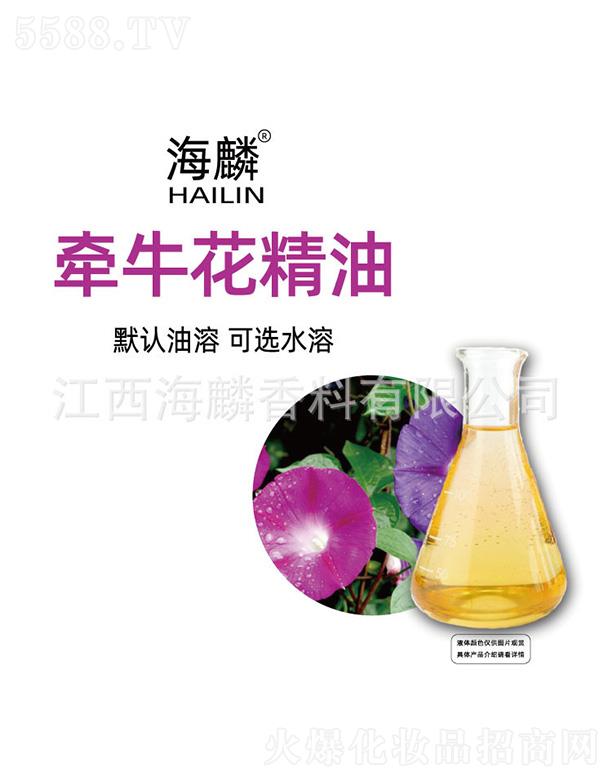 ���렿��������