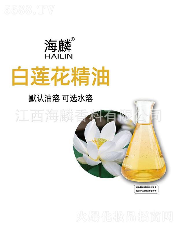 �����ɏ������