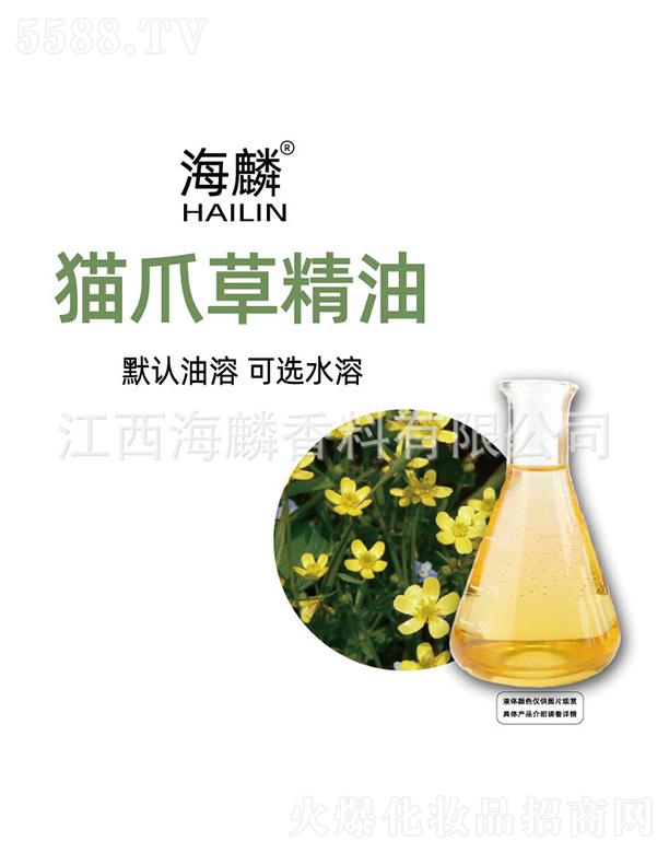 ����؈צ�ݾ���