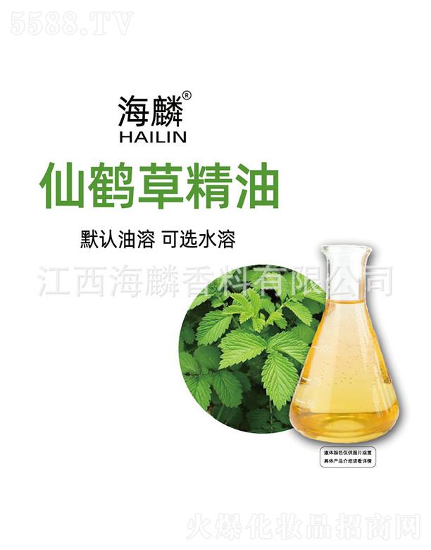 �������Q�ݾ���