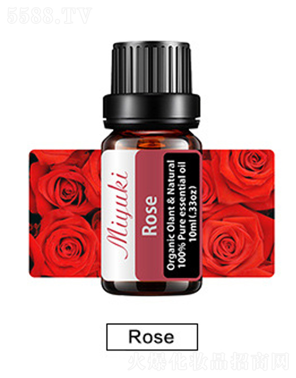 �o(h��)�w��޹��Ħ��-Roseõ��