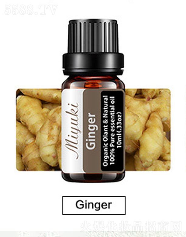 �o(h��)�w��޹��Ħ��-Ginger��