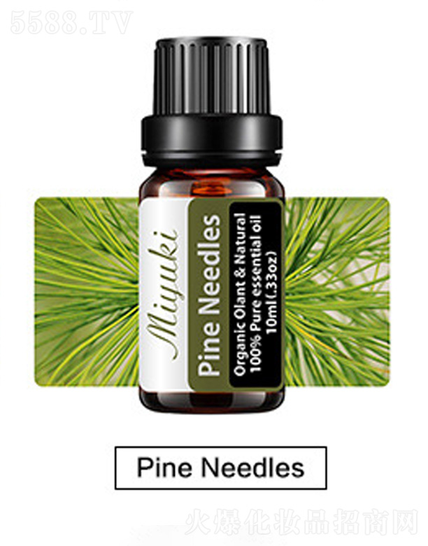 �o(h��)�w��޹��Ħ��-Pine Needles���