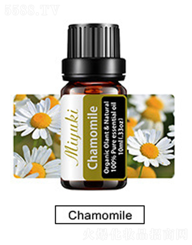 �o(h��)�w��޹��Ħ��-Chamomile�ʾ�