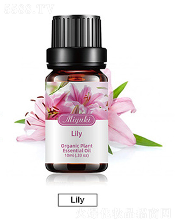 �o�w��޹��Ħ��-Lily����