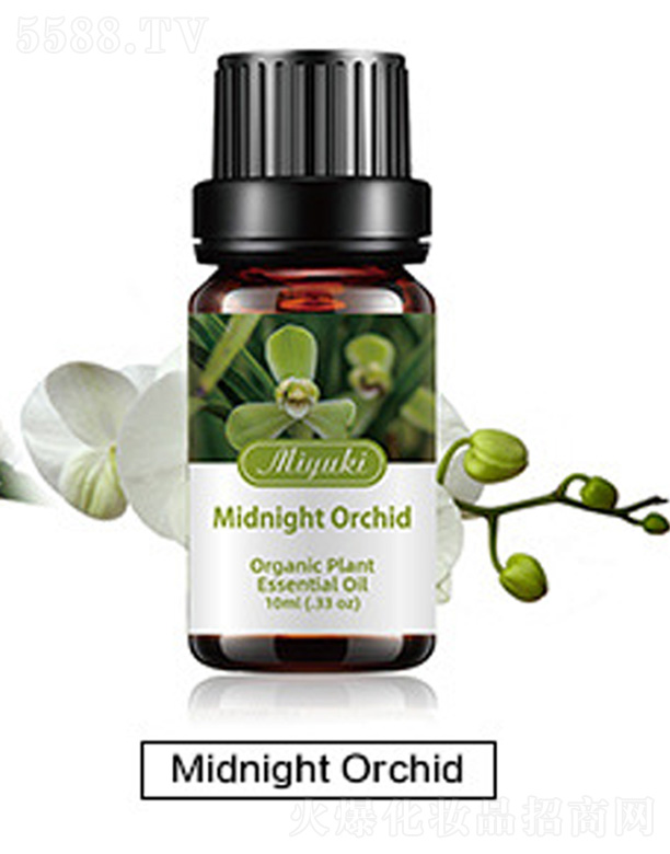 �o�w��޹��Ħ��-Midnight Orchid��ҹ�m��