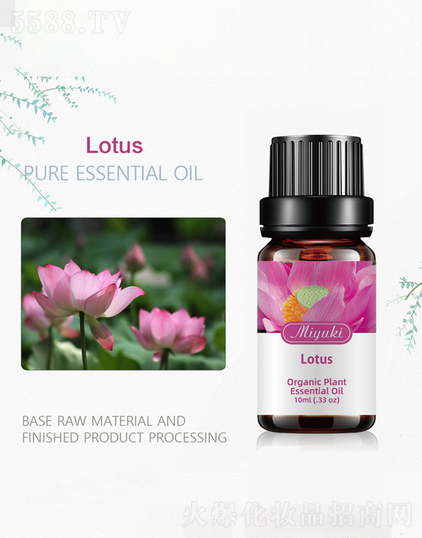 ɏ������