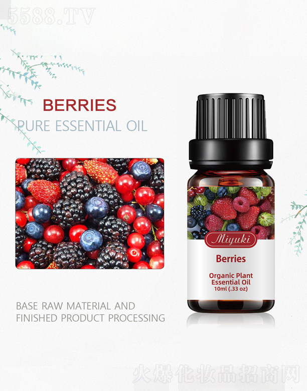 ���ɝ{������