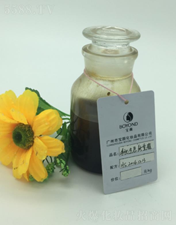 �V�݌���wȫϢ����˪