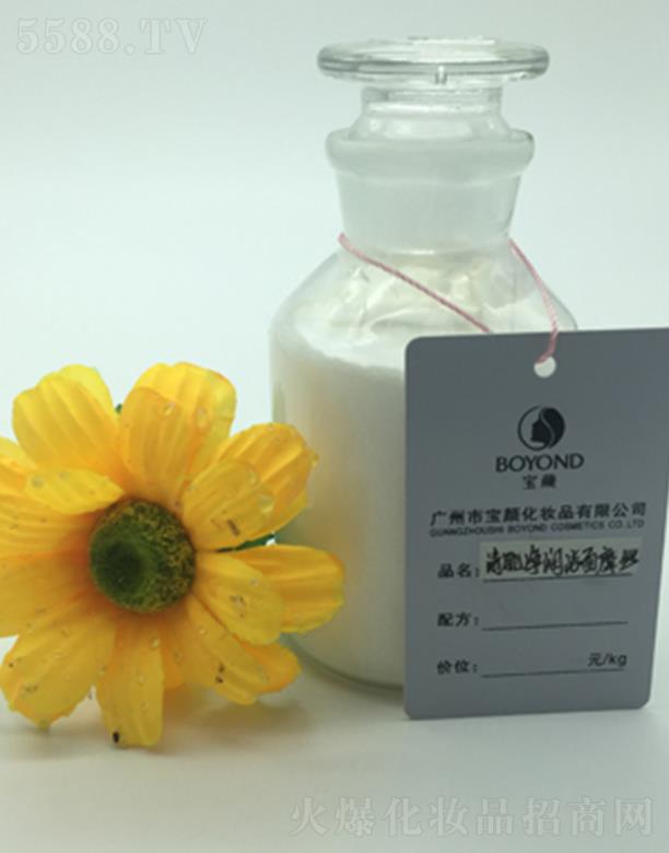 �V�݌���弡����(r��n)����Ħ�z