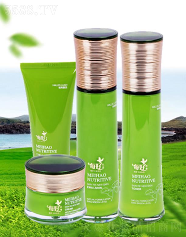 ÿ�ß����坙(r��n)�ޏ�(f��)���b ���w�r(sh��)�����p