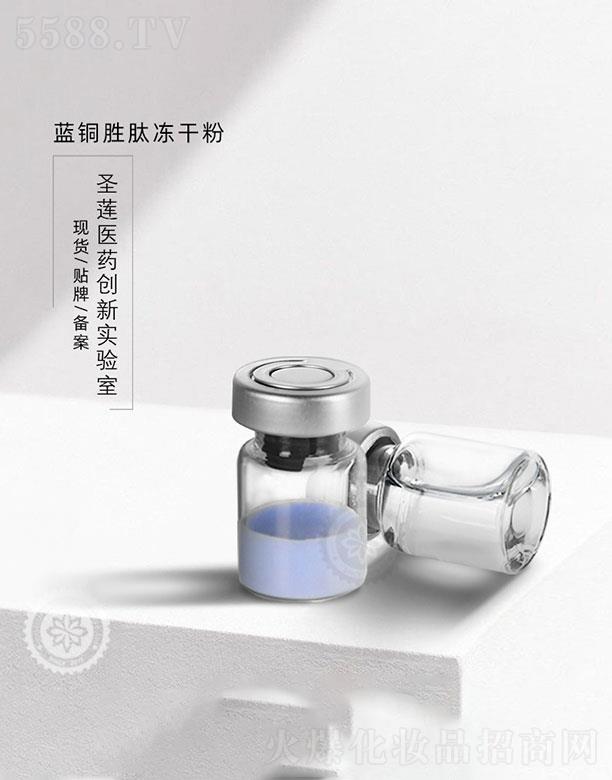 �V��ʥɏ  ʥɏ�{(l��n)�~�ă��ɷ�   ���ǻ�