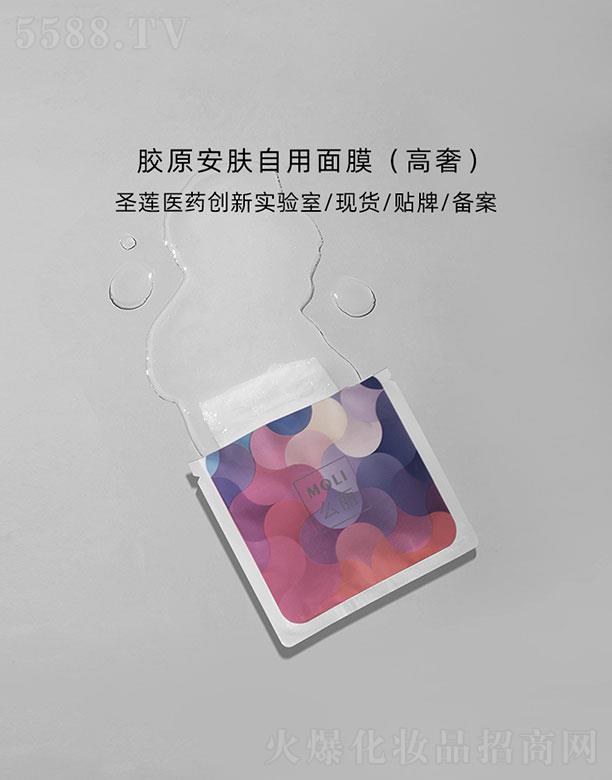 �V��ʥɏ  ʥɏ�zԭ���w����Ĥ   �aˮ�̝�