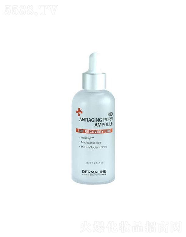 �ԋZ�������~���A