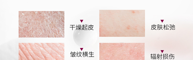 �`֥���B(y��ng)���w˪