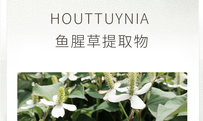 古璟妍舒緩修護精華液 古璟妍舒緩修護精華液